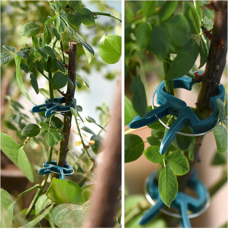 PERSZEN Plant Support Clips, 120 PCS Gentle Flower Plant Clamps for Supporting Vine Climbing Plants, Gardening Lever Loop Gripper Clips Help Stems Vines Grow Straight Upright, 2 Sizes in one Pack - Image 4